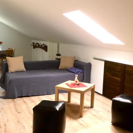 Swiss View Apartman Hohentengen am Hochrhein Kültér fotó