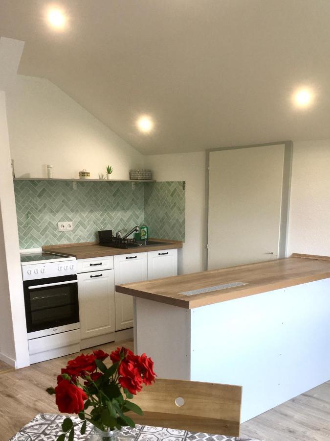 Swiss View Apartman Hohentengen am Hochrhein Kültér fotó