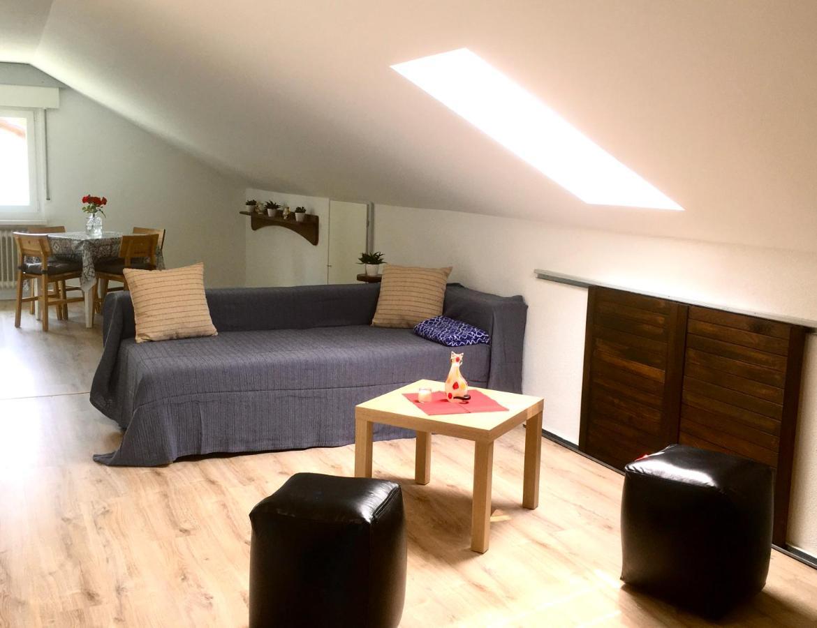 Swiss View Apartman Hohentengen am Hochrhein Kültér fotó