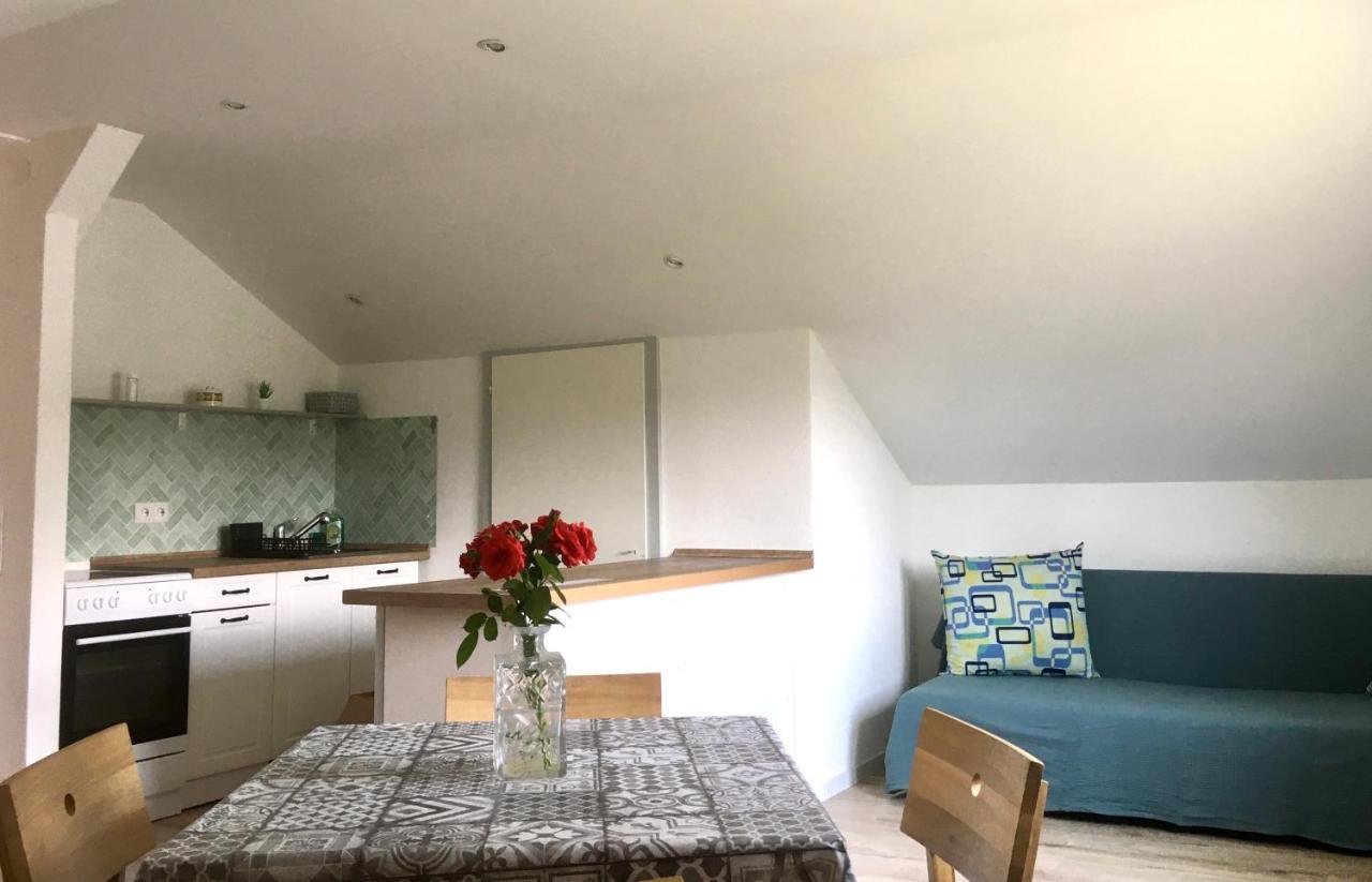 Swiss View Apartman Hohentengen am Hochrhein Kültér fotó