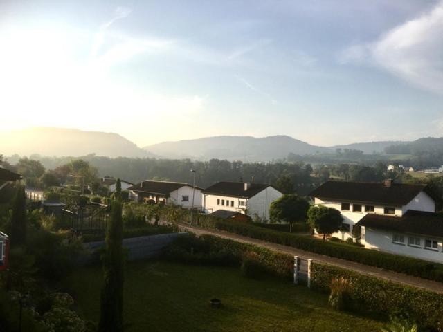 Swiss View Apartman Hohentengen am Hochrhein Kültér fotó