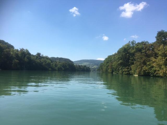 Swiss View Apartman Hohentengen am Hochrhein Kültér fotó